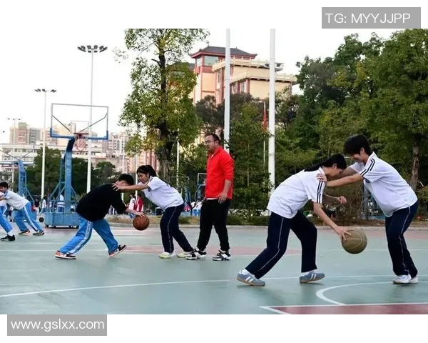 以篮球为核心探索团队协作精神与个人奋斗之间的平衡之道