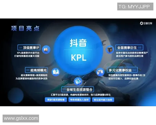 深度解析电竞直播生态发展趋势与玩家互动体验的全面升级