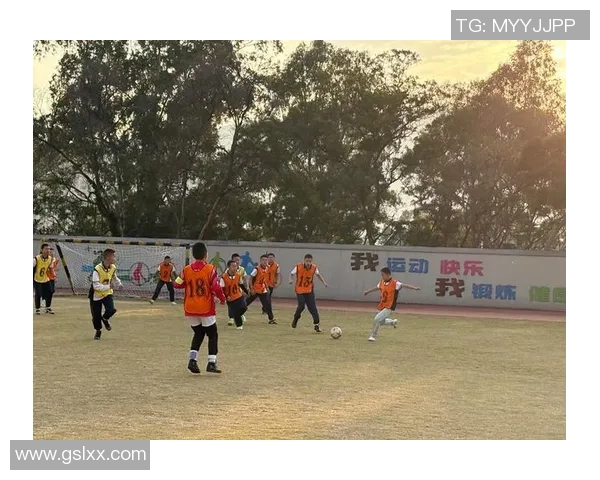 聚焦世界足球巨星成长轨迹与绿茵传奇故事全景解析盛典篇章绽放 聚焦世界足球巨星成长轨迹与绿茵传奇故事全景解析盛典篇章绽放